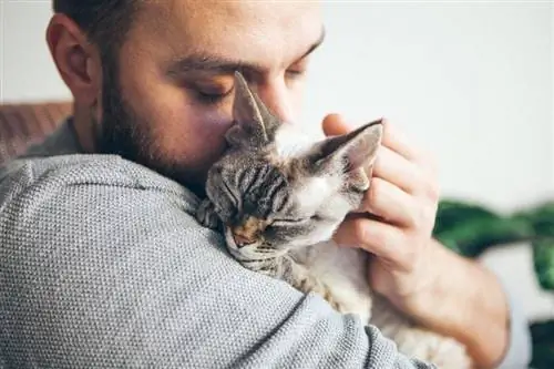 gato feliz com olhos fechados abraça dono