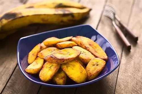 Fried slices ntawm plantain