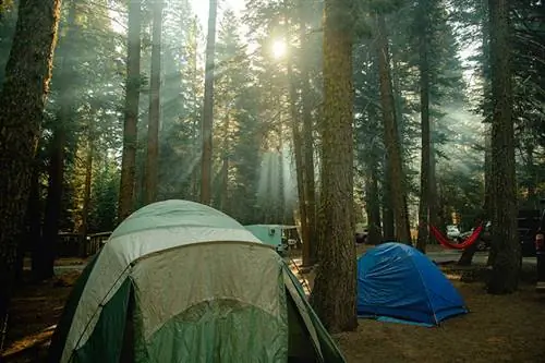 camping en forêt