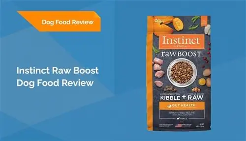 Instinct Raw Boost Dog Food Review 2023: การเรียกคืน ข้อดี & ข้อเสีย