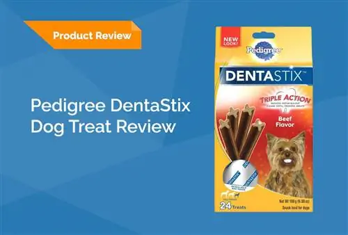 Pedigree Dentastix Dog Treats Review 2023: Rov qab, Pros & Cons