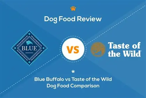 Blue Buffalo vs Taste of the Wild Dog Food: comparació 2023