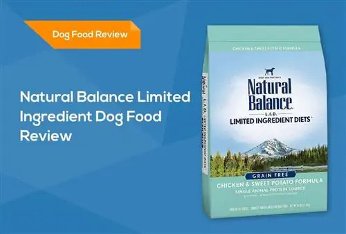 Natural Balance Limited مراجعة طعام الكلب المكون من مكونات 2023: عمليات الاستدعاء والإيجابيات & سلبيات