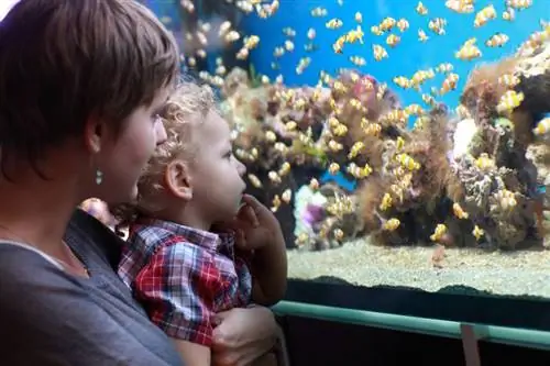 Mutter mit Kind macht Urlaub im Aquarium