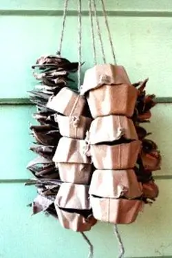 DIY Egg Carton Cockatiel ของเล่นสำหรับหาอาหาร